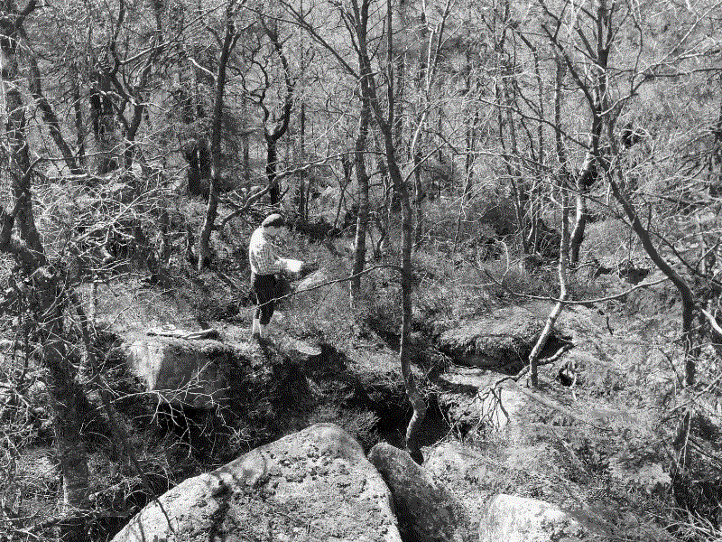 Christian Bode Drawing Harz 2019