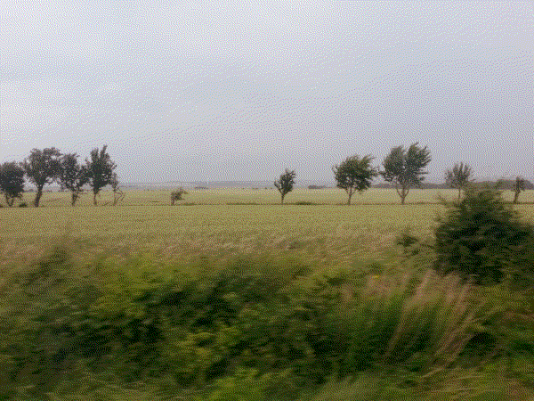 Hintervorland